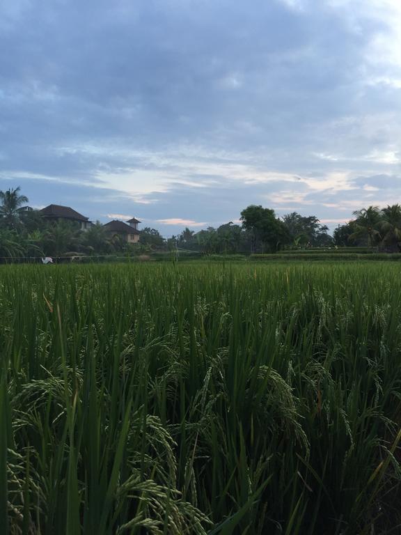 Pondok Buda Merta Ubud Eksteriør bilde