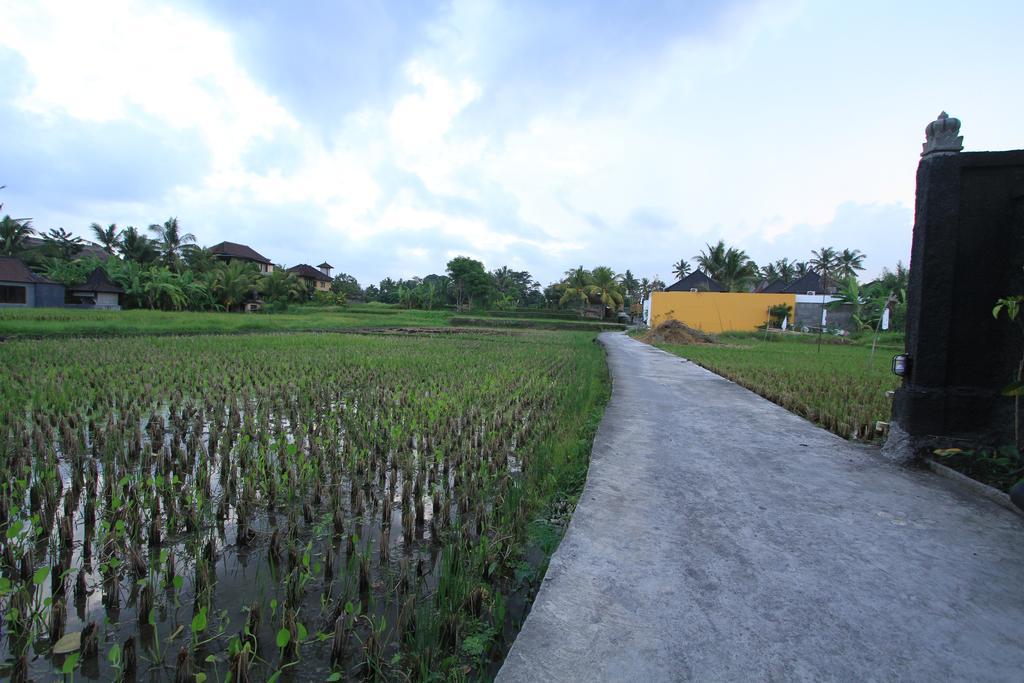Pondok Buda Merta Ubud Eksteriør bilde